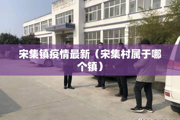 宋集镇疫情最新（宋集村属于哪个镇）
