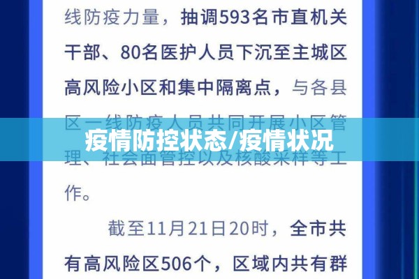 疫情防控状态/疫情状况