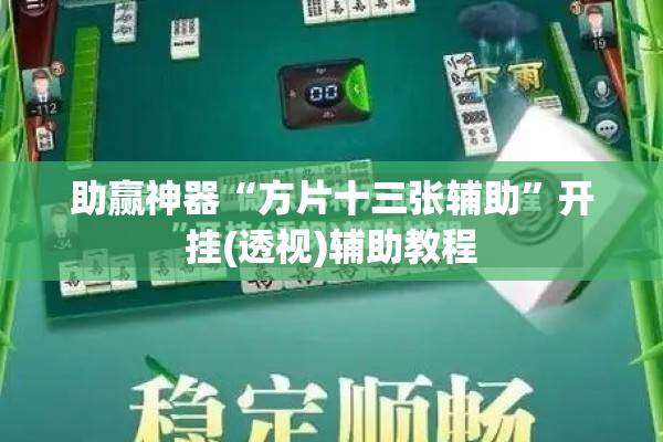助赢神器“方片十三张辅助”开挂(透视)辅助教程