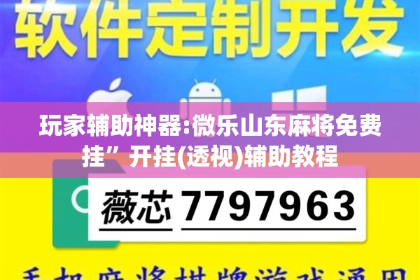 玩家辅助神器:微乐山东麻将免费挂	”开挂(透视)辅助教程