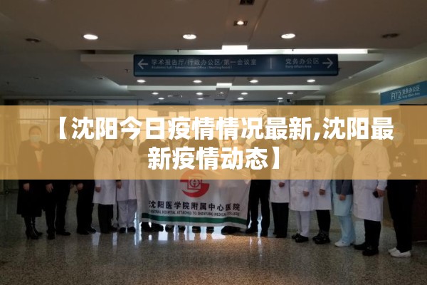 【沈阳今日疫情情况最新,沈阳最新疫情动态】