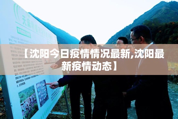 【沈阳今日疫情情况最新,沈阳最新疫情动态】