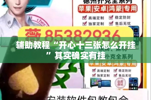 辅助教程“开心十三张怎么开挂”其实确实有挂
