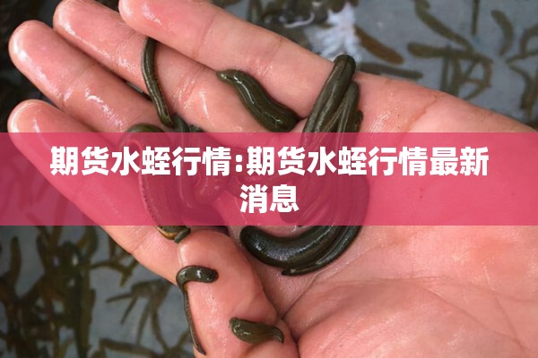 期货水蛭行情:期货水蛭行情最新消息