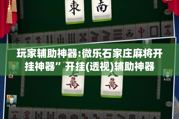 玩家辅助神器:微乐石家庄麻将开挂神器	”开挂(透视)辅助神器
