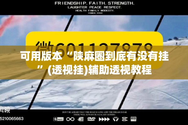 可用版本“陕麻圈到底有没有挂	”(透视挂)辅助透视教程