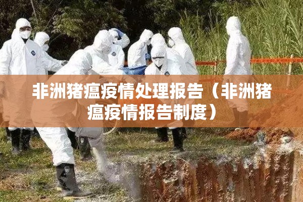 非洲猪瘟疫情处理报告（非洲猪瘟疫情报告制度）
