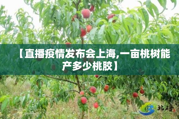 【直播疫情发布会上海,一亩桃树能产多少桃胶】 【直播疫情发布会上海,一亩桃树能产多少桃胶】
