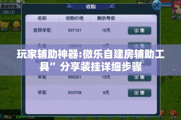 玩家辅助神器:微乐自建房辅助工具”分享装挂详细步骤