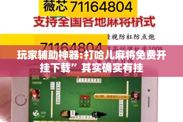 玩家辅助神器:打哈儿麻将免费开挂下载”其实确实有挂
