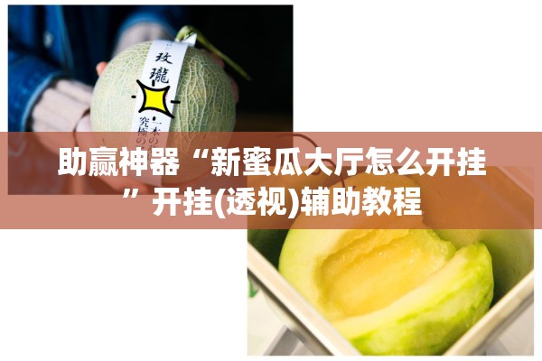 助赢神器“新蜜瓜大厅怎么开挂”开挂(透视)辅助教程