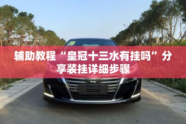 辅助教程“皇冠十三水有挂吗	”分享装挂详细步骤