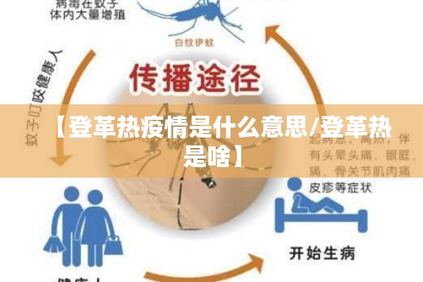 【登革热疫情是什么意思/登革热是啥】