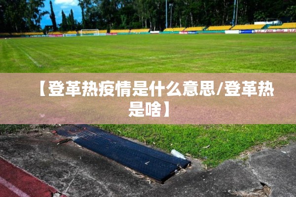 【登革热疫情是什么意思/登革热是啥】