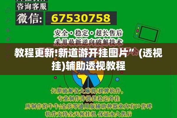 教程更新!新道游开挂图片	”(透视挂)辅助透视教程