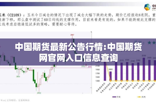 中国期货最新公告行情:中国期货网官网入口信息查询