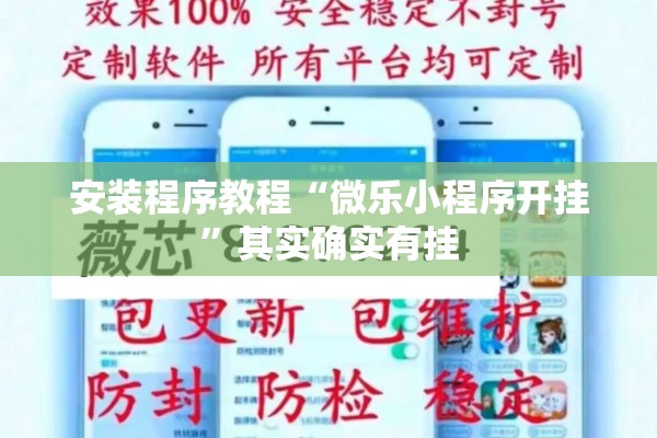 安装程序教程“微乐小程序开挂”其实确实有挂