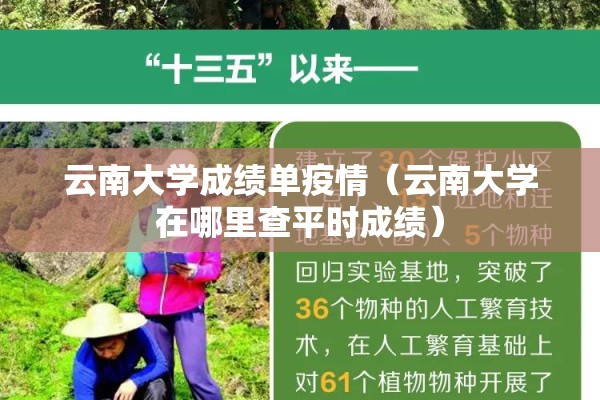 云南大学成绩单疫情(云南大学在哪里查平时成绩) 云南大学成绩单疫情(云南大学在哪里查平时成绩)