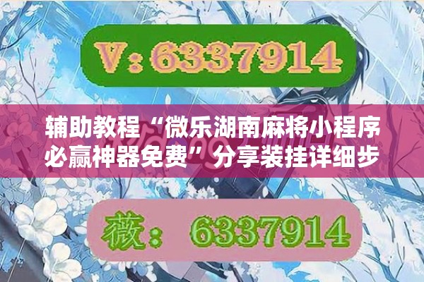 辅助教程“微乐湖南麻将小程序必赢神器免费”分享装挂详细步骤