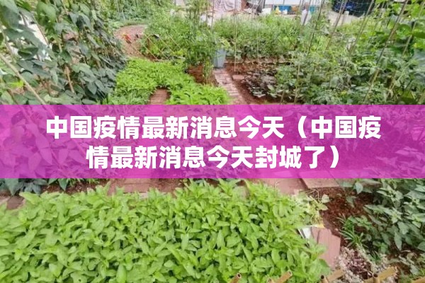 中国疫情最新消息今天（中国疫情最新消息今天封城了）