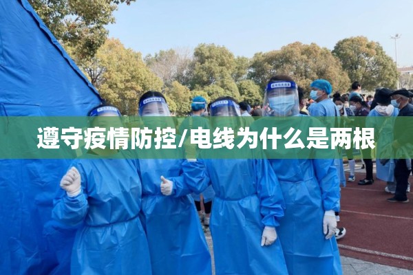 遵守疫情防控/电线为什么是两根