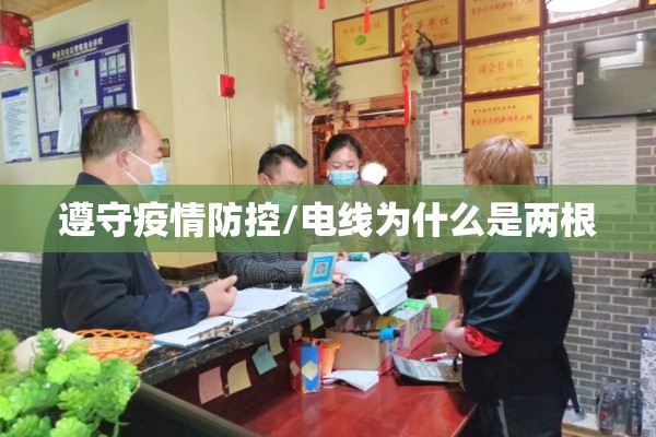 遵守疫情防控/电线为什么是两根