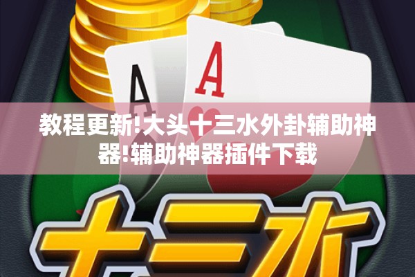 教程更新!大头十三水外卦辅助神器!辅助神器插件下载