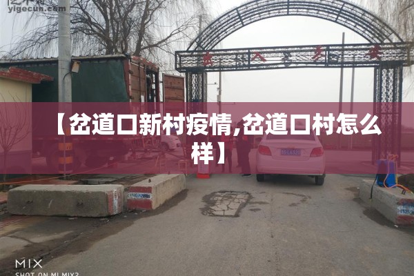 【岔道口新村疫情,岔道口村怎么样】