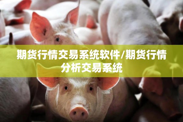 期货行情交易系统软件/期货行情分析交易系统