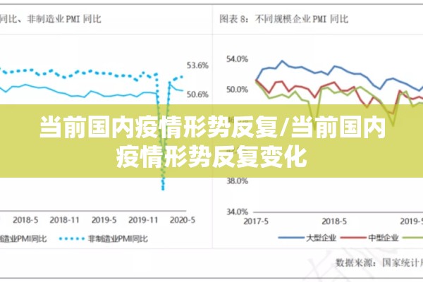 当前国内疫情形势反复/当前国内疫情形势反复变化