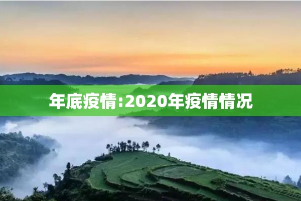 年底疫情:2020年疫情情况