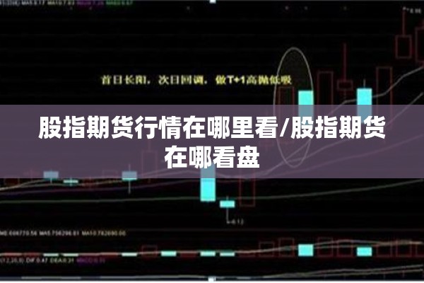股指期货行情在哪里看/股指期货在哪看盘