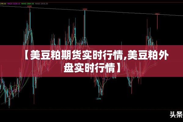 【美豆粕期货实时行情,美豆粕外盘实时行情】