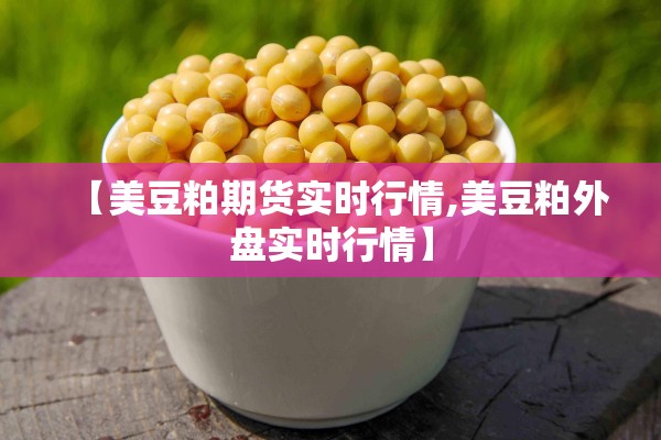 【美豆粕期货实时行情,美豆粕外盘实时行情】
