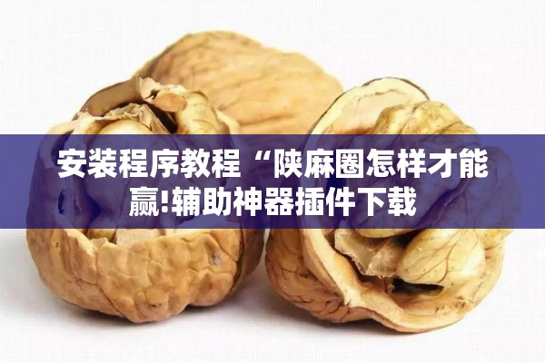 安装程序教程“陕麻圈怎样才能赢!辅助神器插件下载
