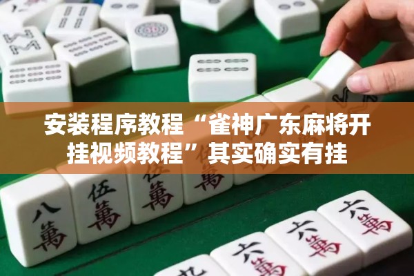 安装程序教程“雀神广东麻将开挂视频教程”其实确实有挂