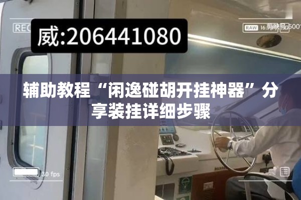 辅助教程“闲逸碰胡开挂神器	”分享装挂详细步骤