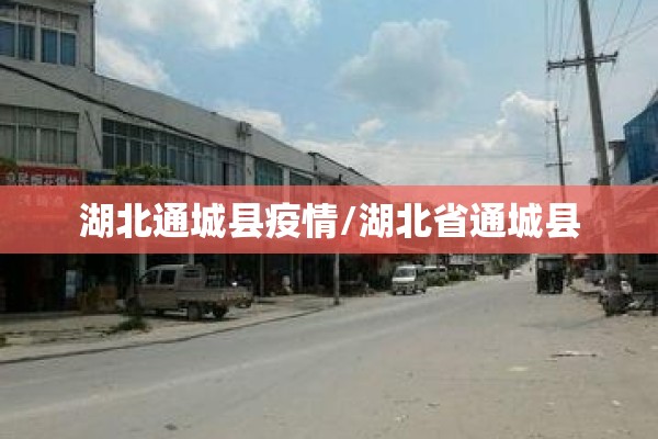 湖北通城县疫情/湖北省通城县
