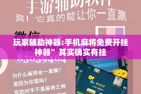 玩家辅助神器:手机麻将免费开挂神器	”其实确实有挂