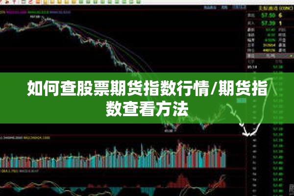 如何查股票期货指数行情/期货指数查看方法