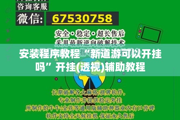安装程序教程“新道游可以开挂吗”开挂(透视)辅助教程