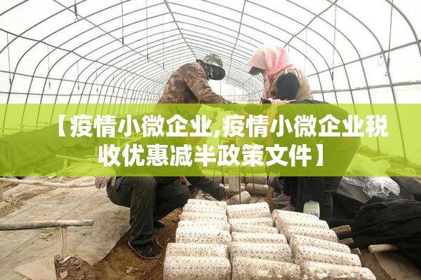【疫情小微企业,疫情小微企业税收优惠减半政策文件】