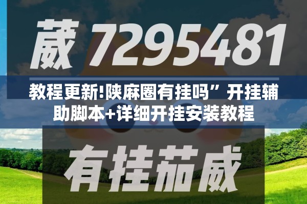 教程更新!陕麻圈有挂吗”开挂辅助脚本+详细开挂安装教程
