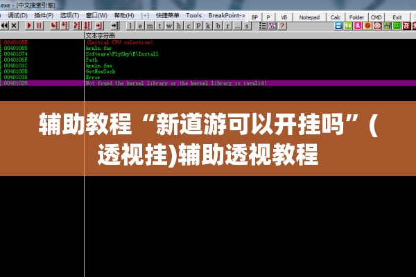 辅助教程“新道游可以开挂吗”(透视挂)辅助透视教程