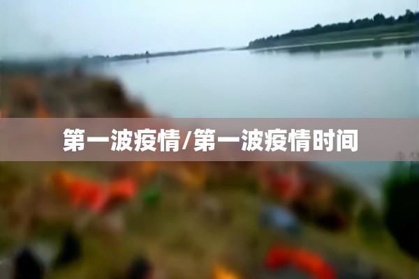 第一波疫情/第一波疫情时间