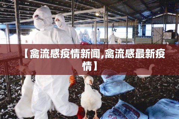 【禽流感疫情新闻,禽流感最新疫情】 【禽流感疫情新闻,禽流感最新疫情】