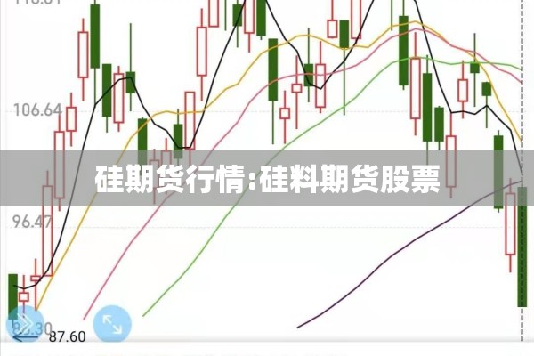 硅期货行情:硅料期货股票