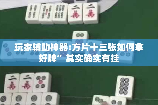 玩家辅助神器:方片十三张如何拿好牌	”其实确实有挂