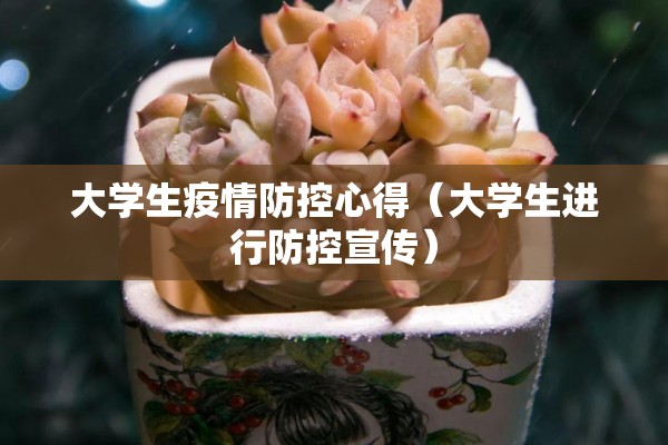 大学生疫情防控心得（大学生进行防控宣传）