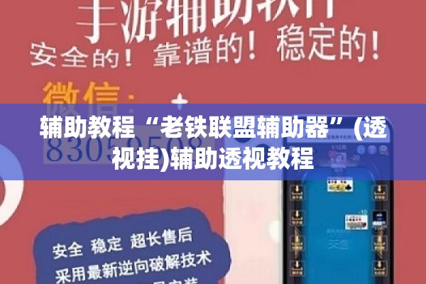 辅助教程“老铁联盟辅助器	”(透视挂)辅助透视教程
